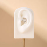 Piercing orecchio/naso serpente lucente in argento