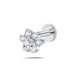 Piercing orecchio/naso/bocca zampa brillante bianca in argento