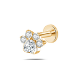 Piercing orecchio/naso/bocca zampa brillante bianca in oro